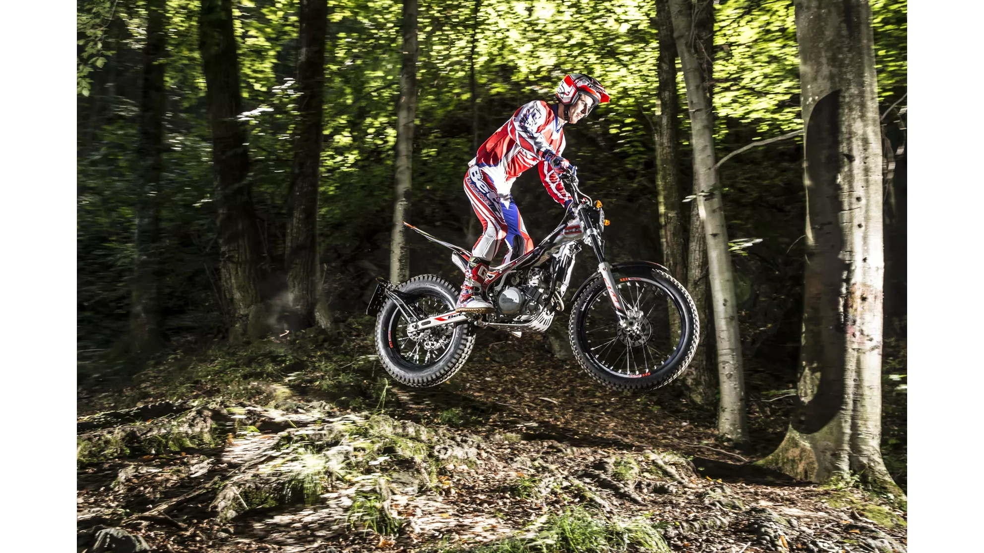 Beta Evo 300 4Takt - Image 1 Beta Evo 300 4Takt - Image 1