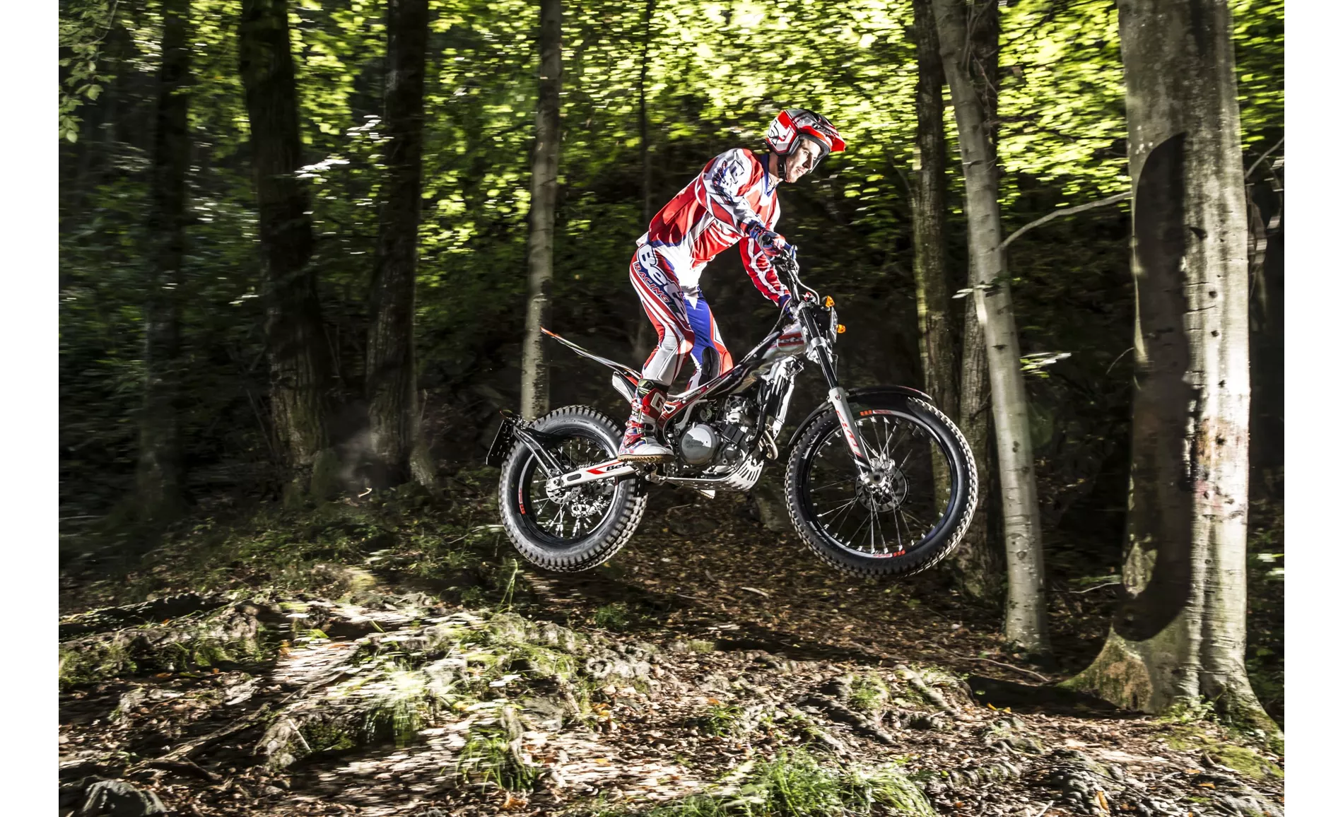 Beta Evo 300 4Takt 2019 Beta Evo 300 4Takt 2019