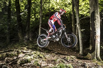 Beta Evo 300 4Takt 2019 - Bild 3