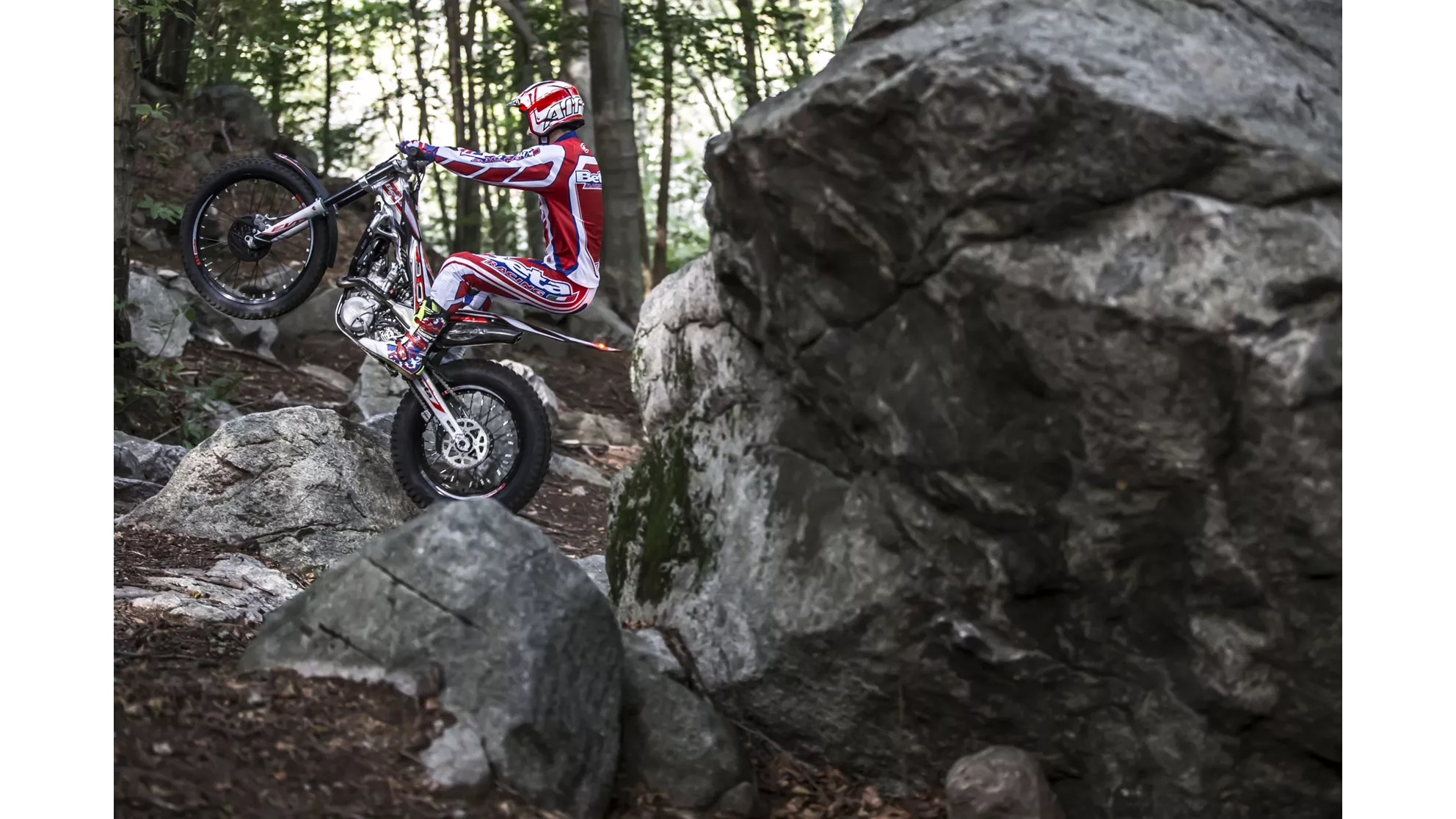 Beta Evo 300 4Takt - Image 7 Beta Evo 300 4Takt - Image 7