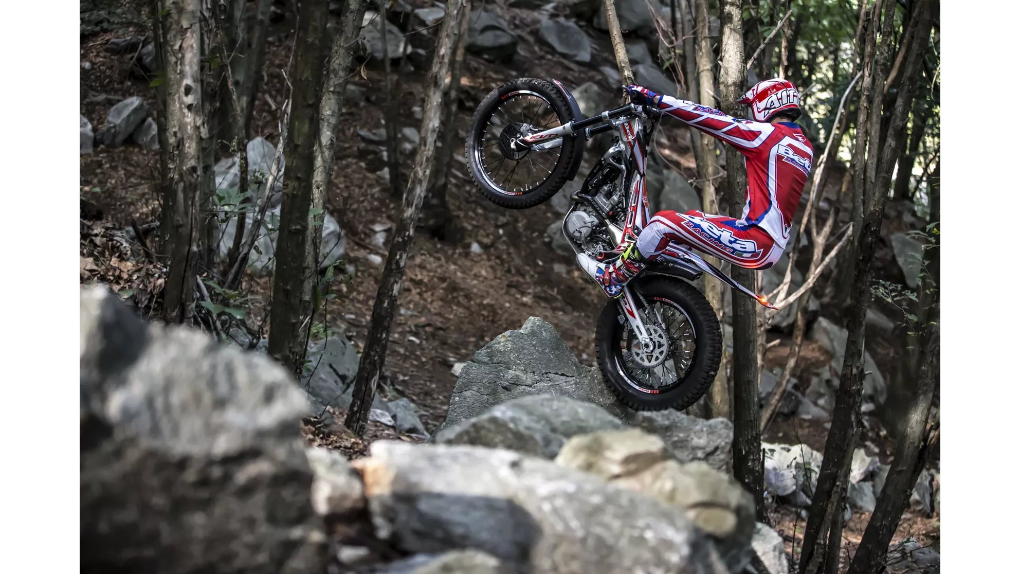 Beta Evo 300 4Takt - Image 8 Beta Evo 300 4Takt - Image 8