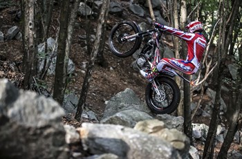 Beta Evo 300 4Takt 2019 - Bild 10