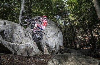 Beta Evo 300 2T 2019 - Bild 13