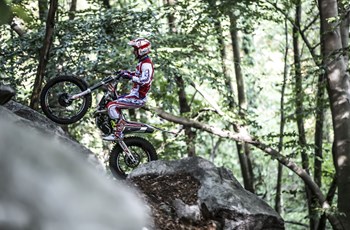 Beta Evo 300 2T 2019 - Bild 14