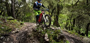 Sur-Ron Firefly Youth 2021 vs Sur-Ron Firefly Offroad 2019