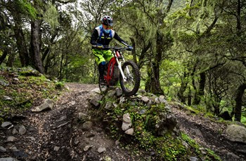 Sur-Ron Firefly Offroad 2019 - Bild 2 Sur-Ron Firefly Offroad 2019 - Bild 2