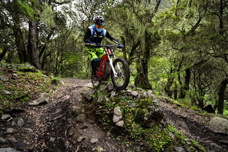 Sur-Ron Firefly Offroad 2019 Sur-Ron Firefly Offroad 2019