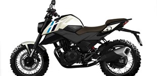 Malaguti Monte Pro 125 2021 vs FK Motors FK 12 SX Street Scrambler 2019