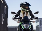 Kawasaki Z650