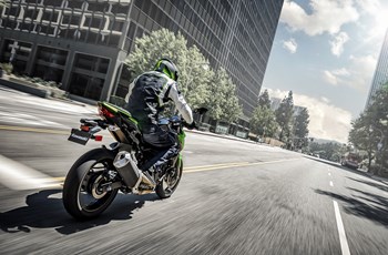 Kawasaki Z 400 2019 - Bild 30 Kawasaki Z 400 2019 - Bild 30