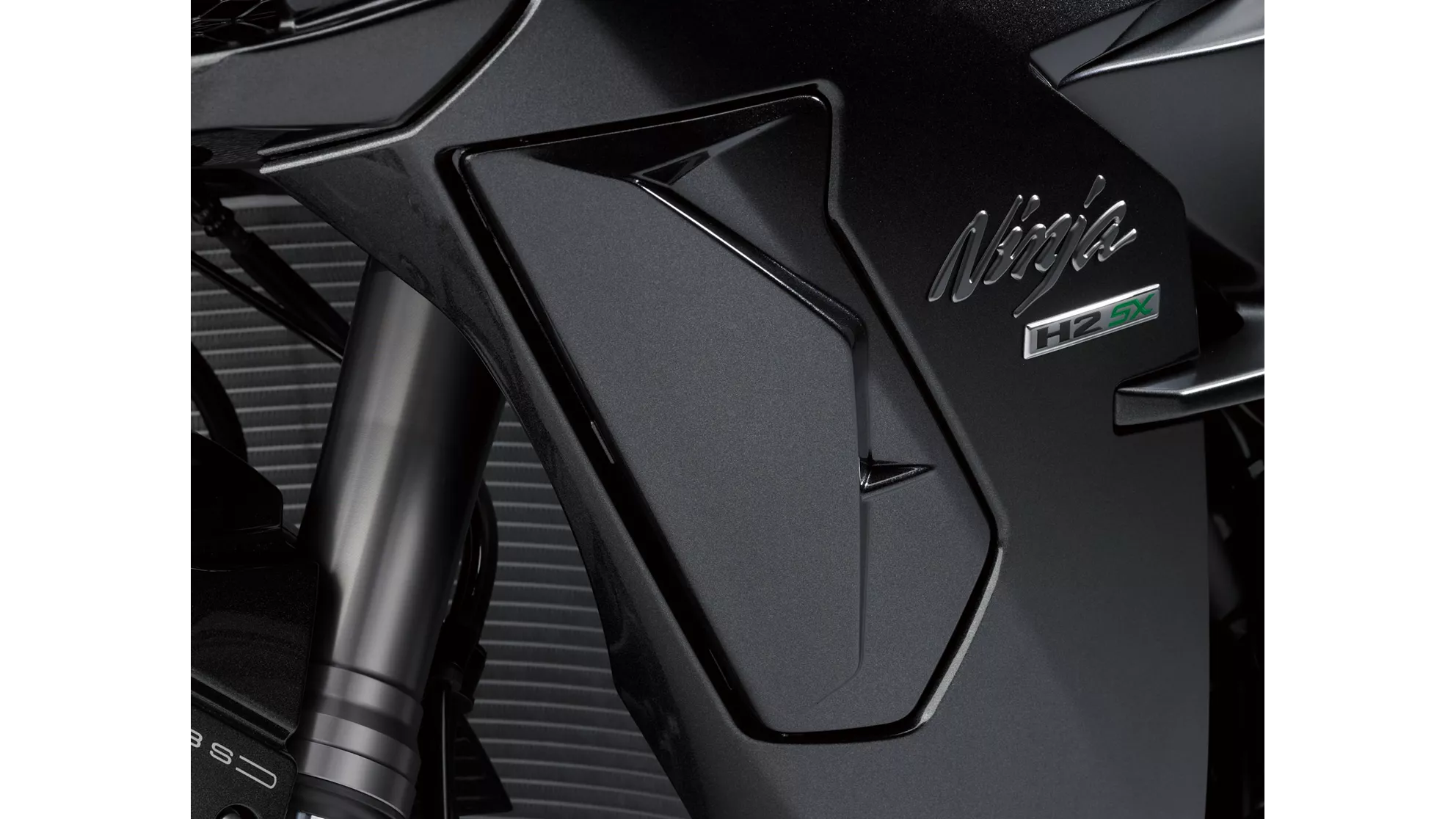 Kawasaki Ninja H2 SX - Image 4 Kawasaki Ninja H2 SX - Image 4