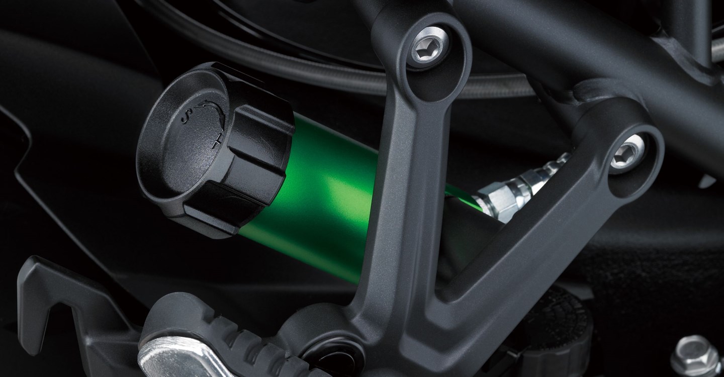 Kawasaki Ninja H2 SX SE