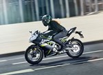 Kawasaki Ninja 125