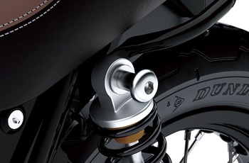 Kawasaki W800 Cafe 2019 - Bild 20 Kawasaki W800 Cafe 2019 - Bild 20