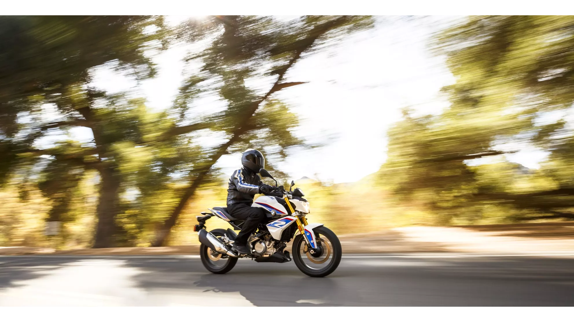 BMW G 310 R - Image 18 BMW G 310 R - Image 18