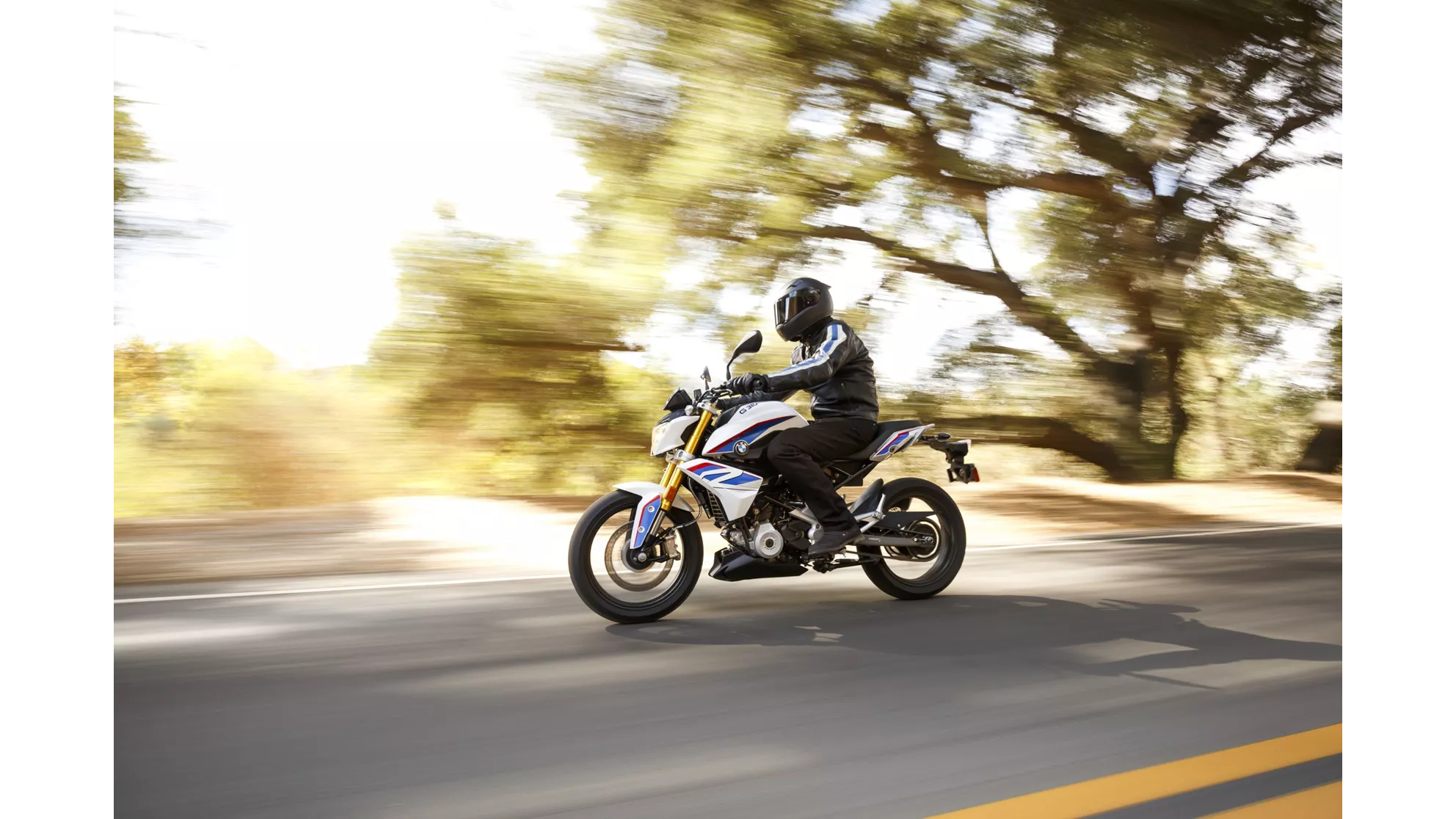 BMW G 310 R - Image 21 BMW G 310 R - Image 21