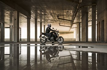 BMW R 1250 R 2019 - Bild 23 BMW R 1250 R 2019 - Bild 23