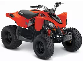 Can-Am DS 90