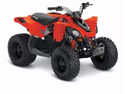 Can-Am DS 90 2019 Can-Am DS 90 2019