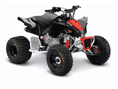 Can-Am DS 90 X 2019 Can-Am DS 90 X 2019