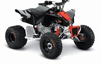 Can-Am DS 90 X 2019 - Bild 1