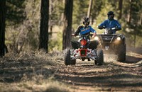 Can-Am DS 90 X 2019 - Bild 4