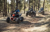 Can-Am DS 90 X 2019 - Bild 5