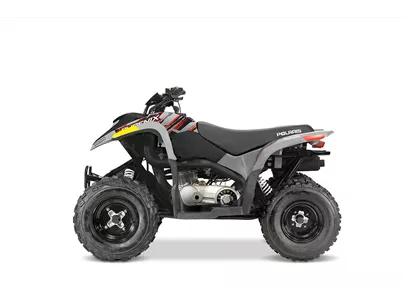 Polaris Phoenix 200 2019 Polaris Phoenix 200 2019