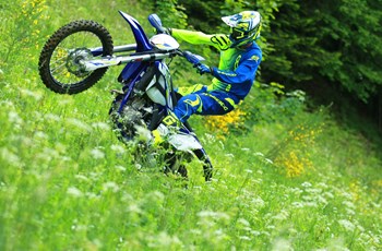 Sherco 250 SEF-R 2019 - Bild 2