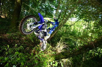 Sherco 250 SE-R 2019 - Bild 2