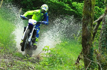 Sherco 450 SEF-R 2019 - Bild 2