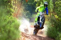 Sherco 125 SC Factory 2019 - Bild 2