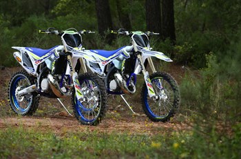 Sherco 250 SC Factory 2019 - Bild 9