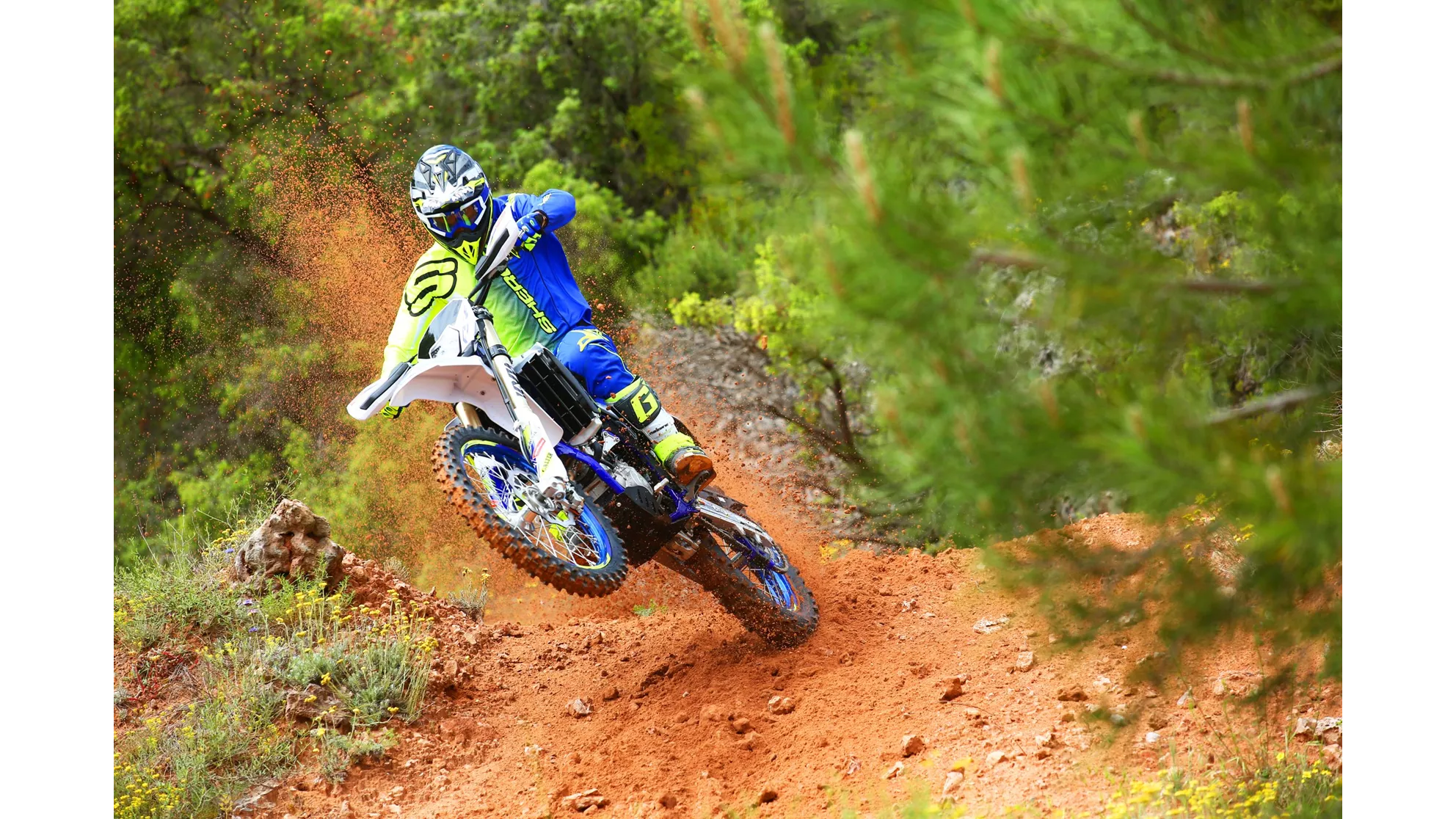 Sherco 250 SEF Factory - Image 17 Sherco 250 SEF Factory - Image 17