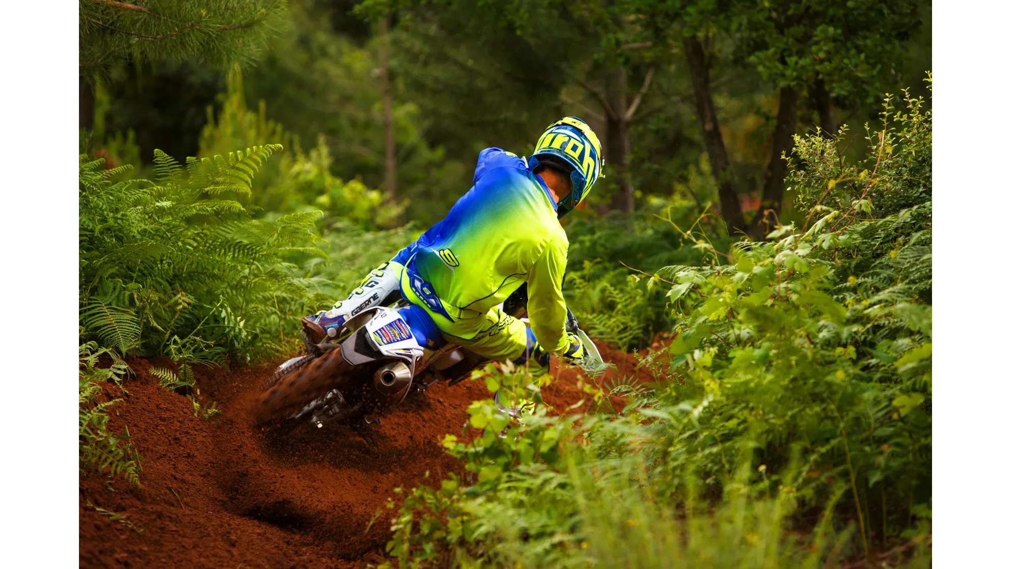 Sherco 250 SEF Factory - Image 24 Sherco 250 SEF Factory - Image 24