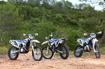 Sherco 450 SEF Factory 2019 - Bild 13