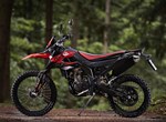 Aprilia RX 125