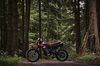 Aprilia RX 125 2019 - Bild 13 Aprilia RX 125 2019 - Bild 13