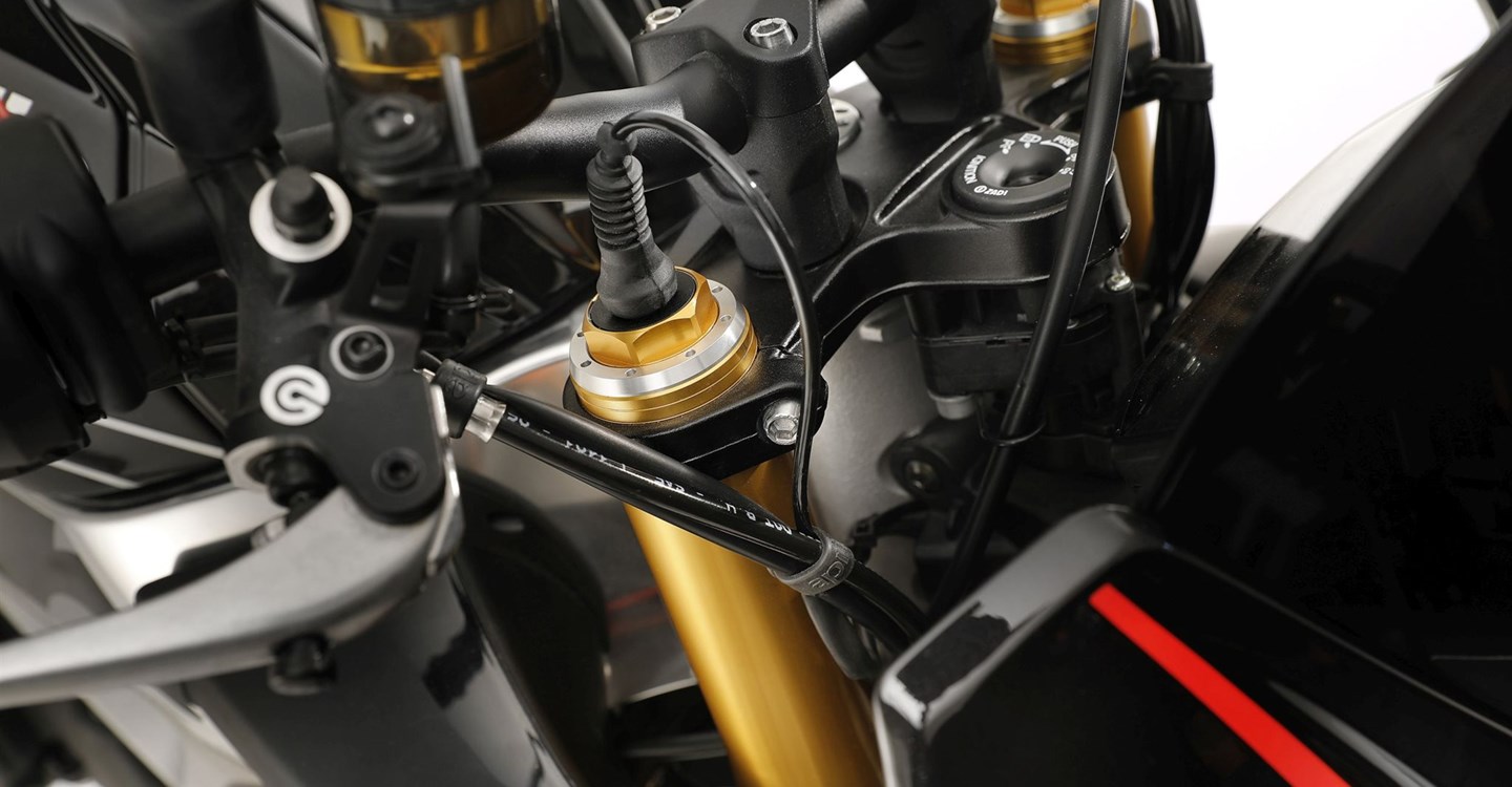 Aprilia Tuono V4 1100 Factory