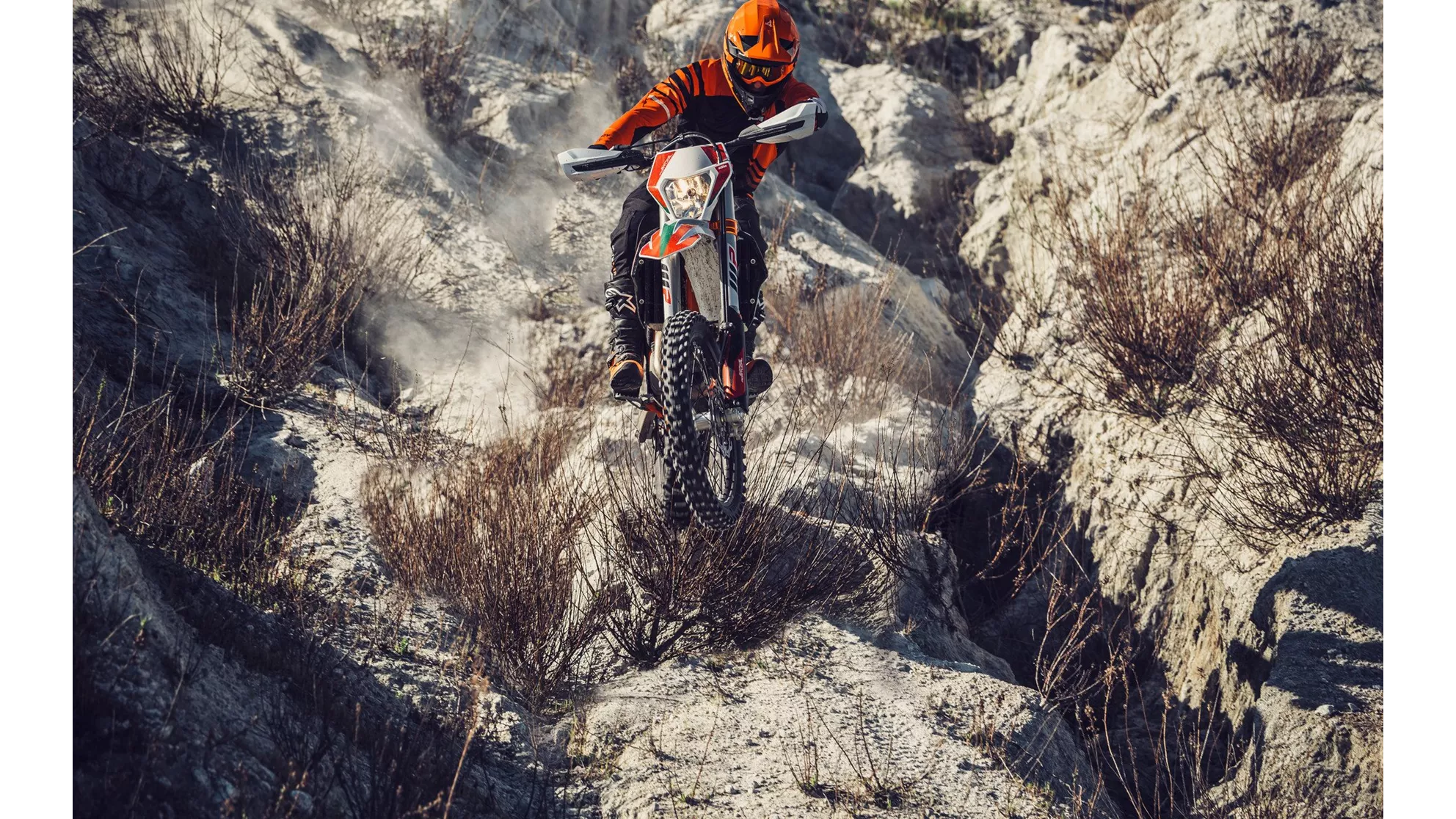 KTM 450 EXC-F SIX DAYS - Image 7 KTM 450 EXC-F SIX DAYS - Image 7