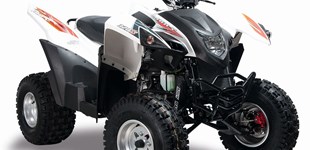 Aeon Cobra 350 2011 vs Adly Hurricane 320 2020