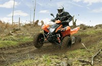 Adly Hurricane 450 S 2020 - Bild 6