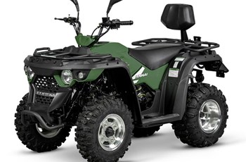 Linhai M150L 2020 - Image 2