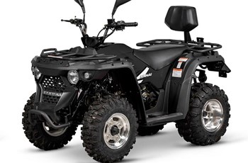 Linhai M150L 2020 - Image 3