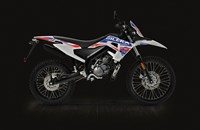 Gilera RCR 50 2T 2020 - Bild 4