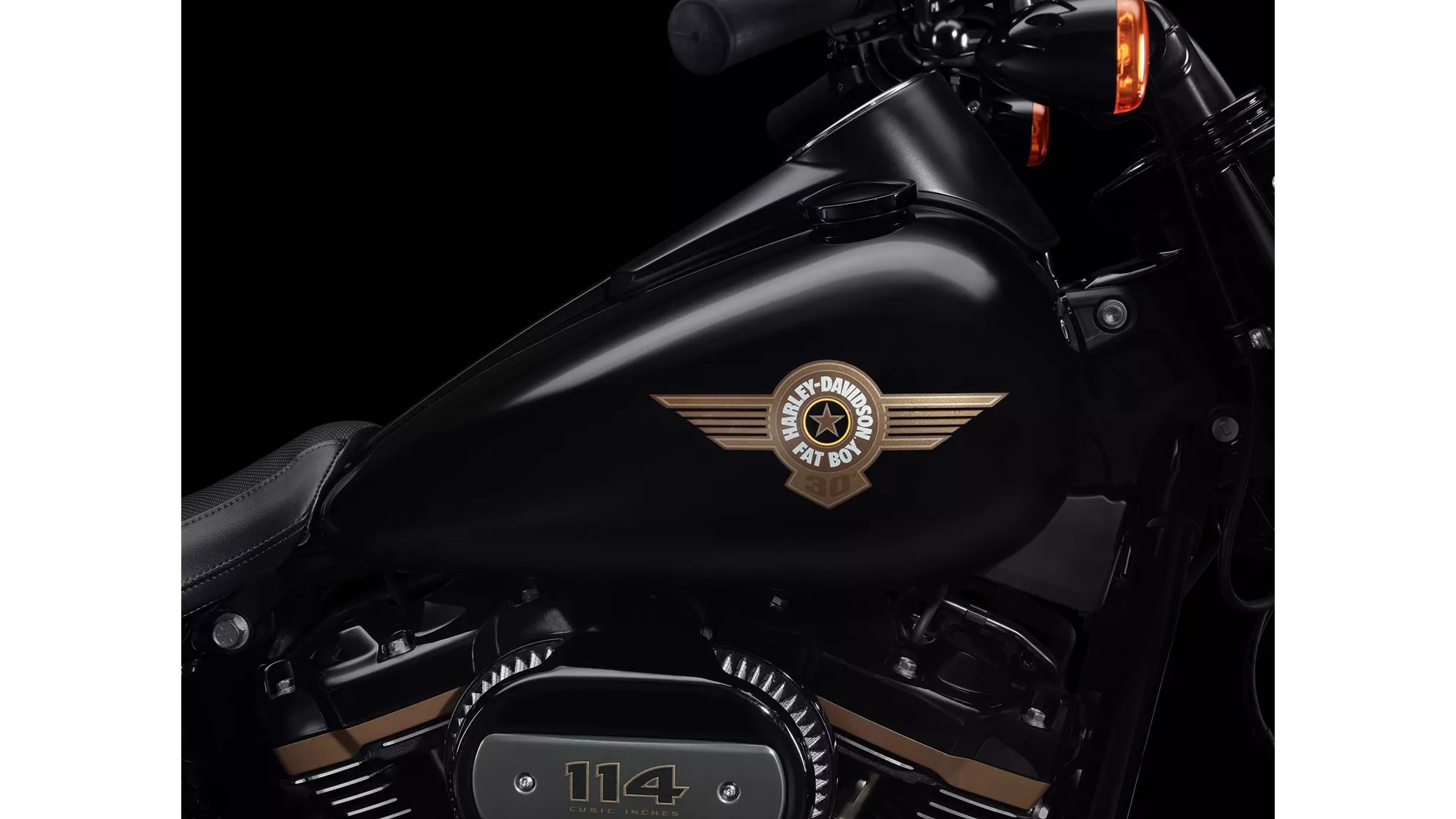 Harley-Davidson Fat Boy 30th Anniversary - Imagem 1