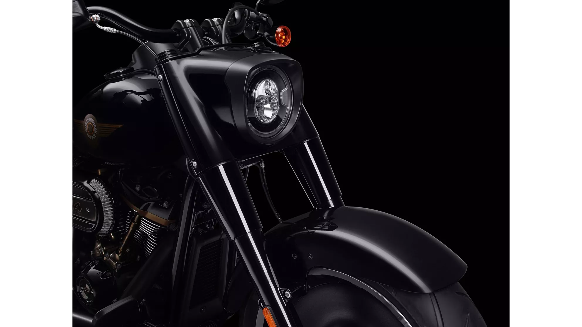 Harley-Davidson Fat Boy 30th Anniversary - Immagine 3