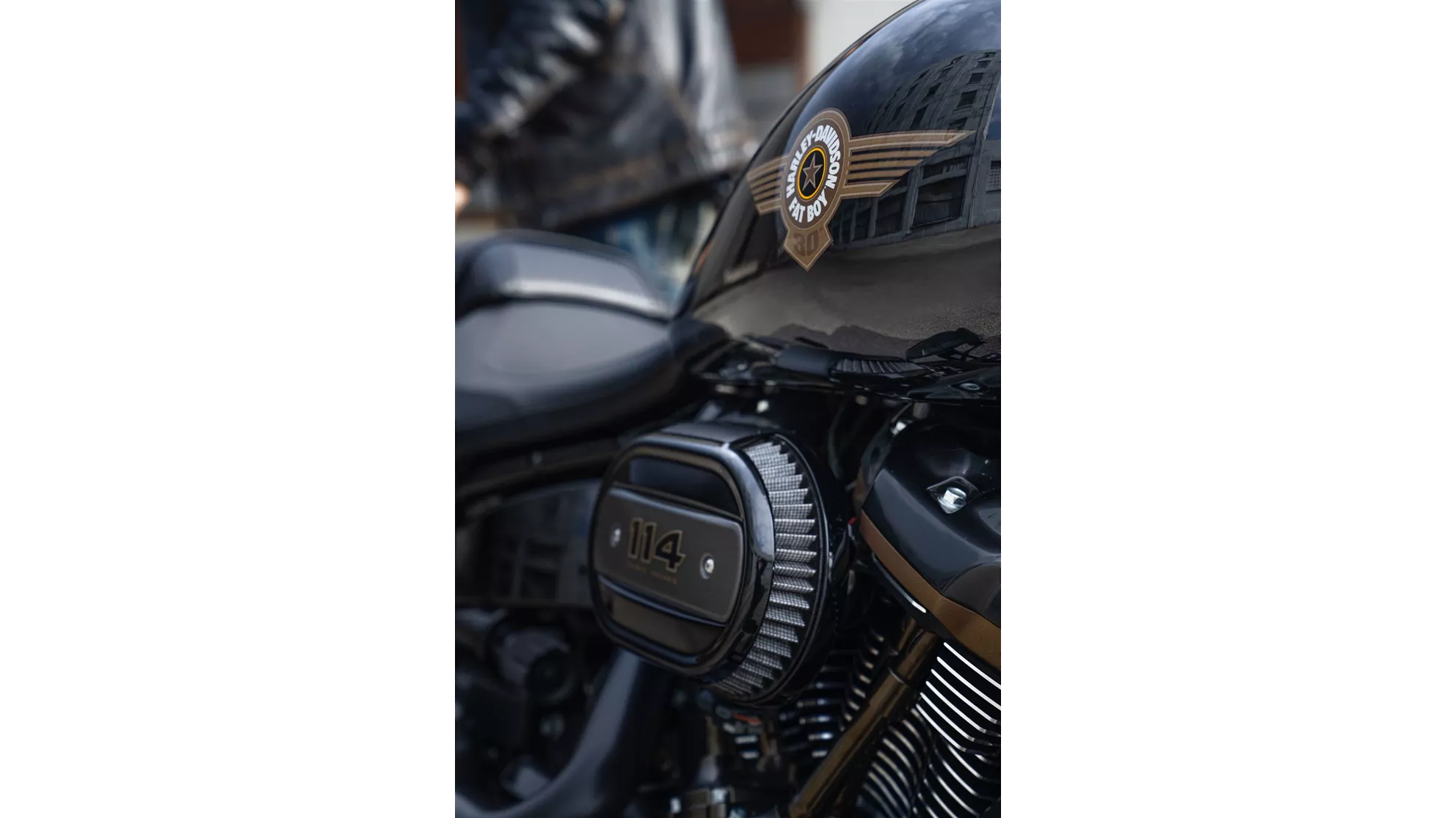 Harley-Davidson Fat Boy 30th Anniversary - Obrázok 6