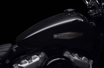 Harley-Davidson Softail Standard FXST 2020 - Bild 8 Harley-Davidson Softail Standard FXST 2020 - Bild 8