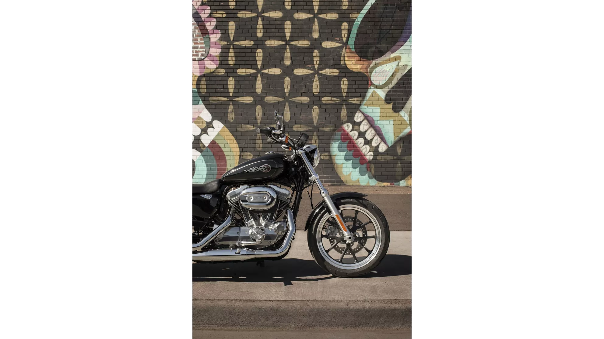 Harley-Davidson Sportster XL 883 L SuperLow - Obrázek 5
